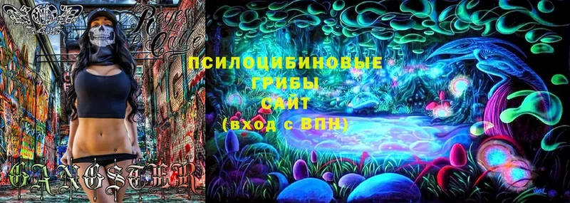 Галлюциногенные грибы Magic Shrooms  Асино 